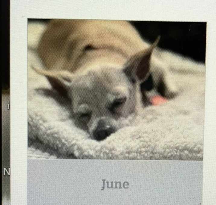 Photo of June