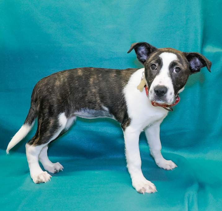 Photo of ELSIE