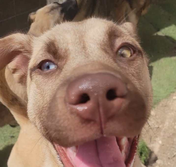 Photo of Elsa