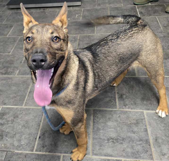 Photo of Kaia