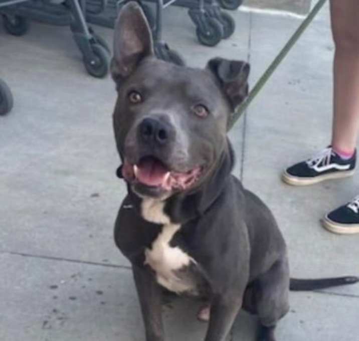 Photo of Astro