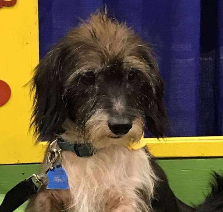 Photo of Gavin