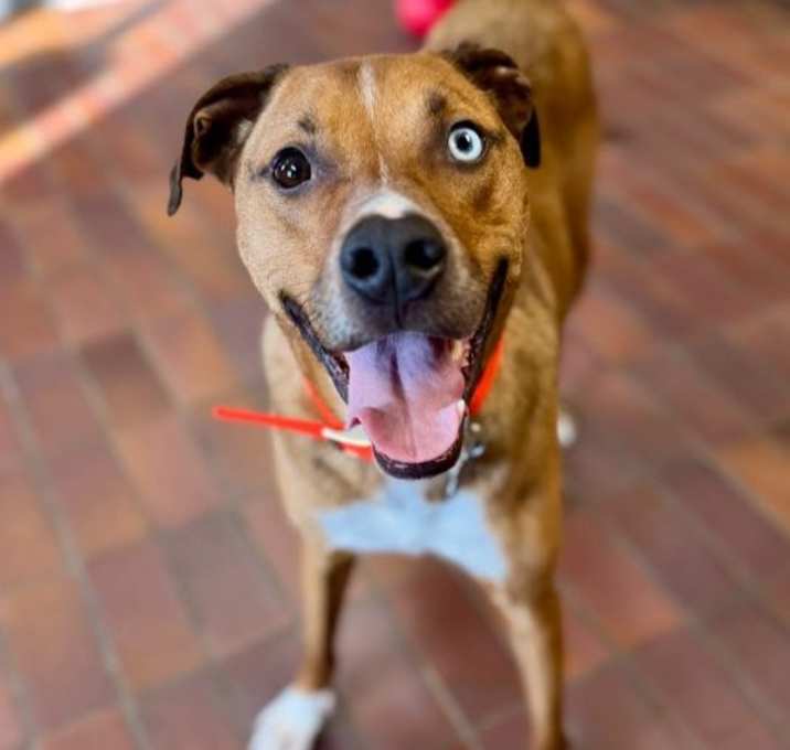 Photo of Bruno