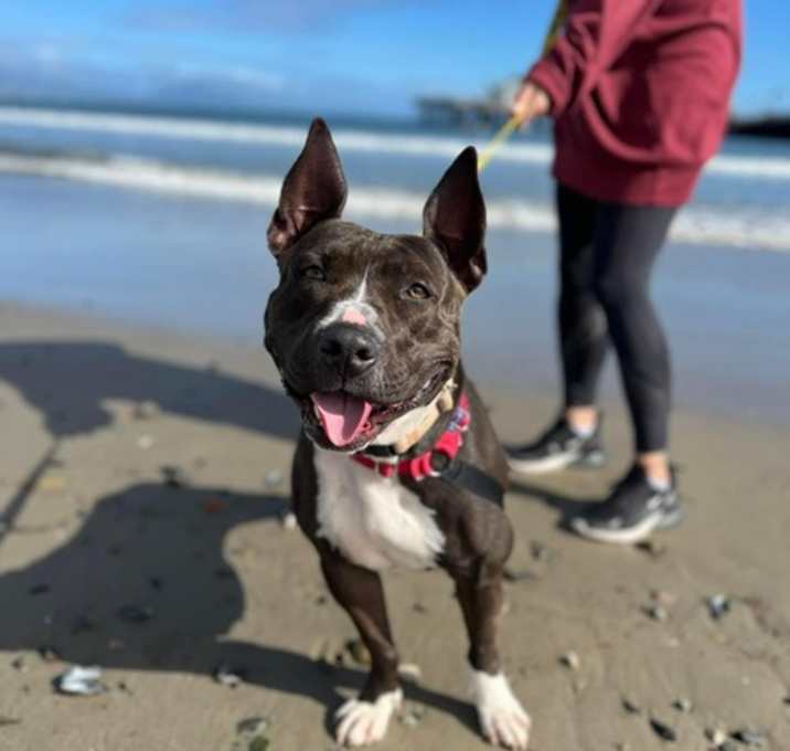 Photo of Batgirl