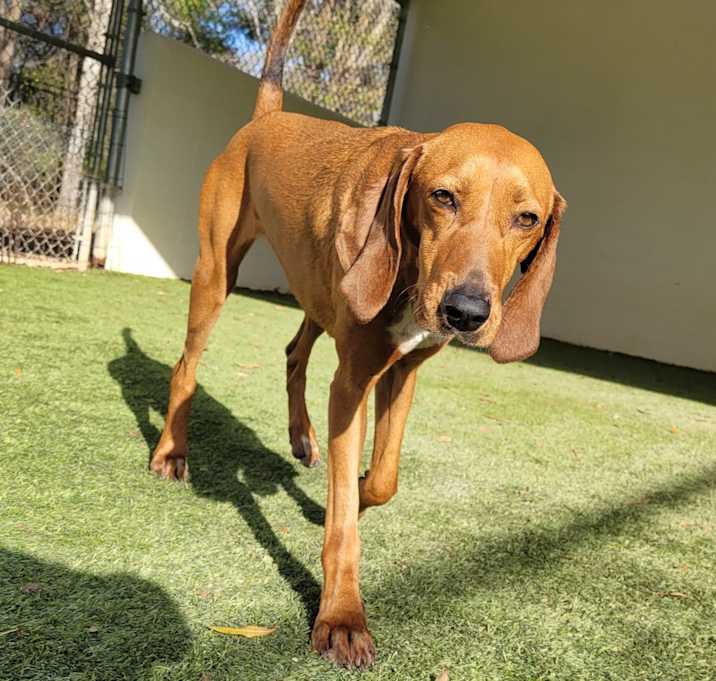 Photo of Scarlet 2457