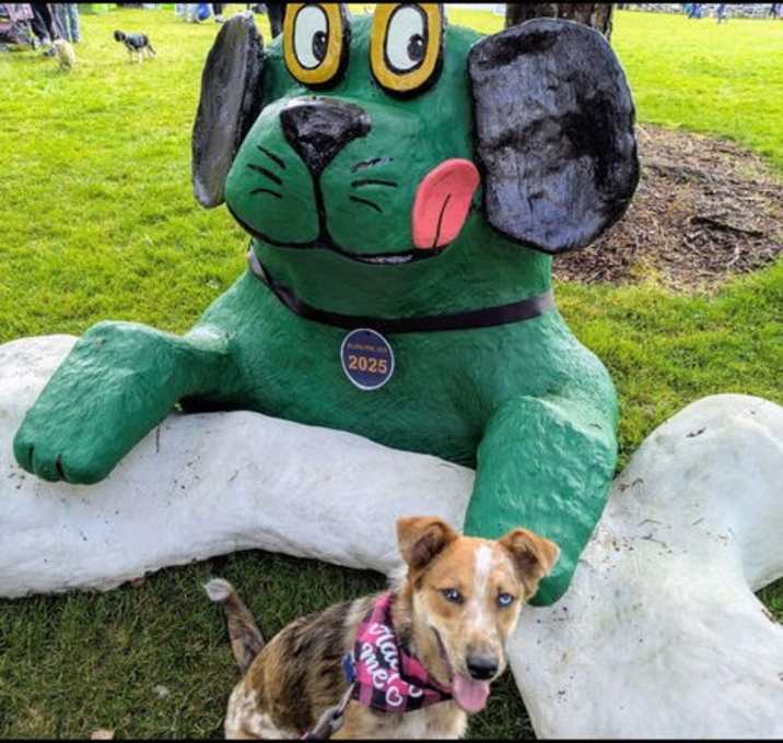 Photo of Rusty