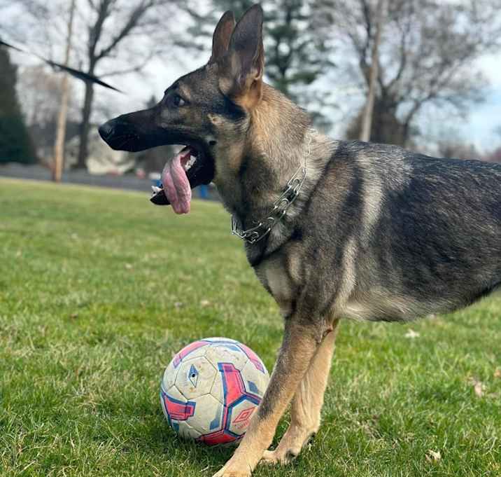 Photo of Sam