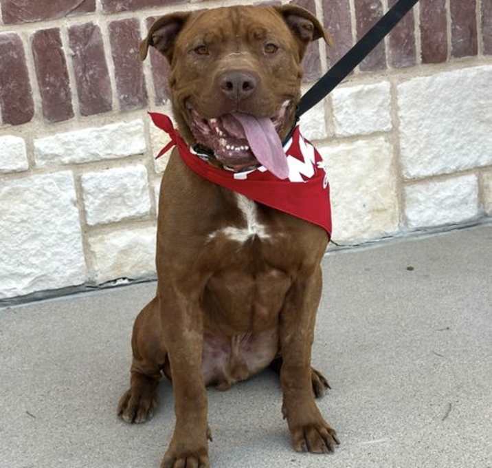 Photo of Tank