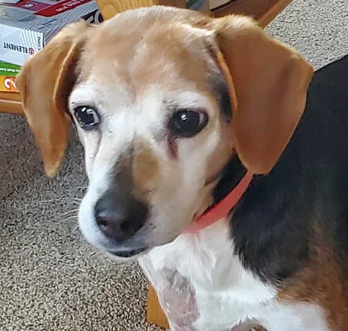 Photo of Princess