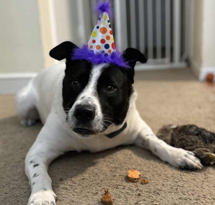 Photo of Baxter