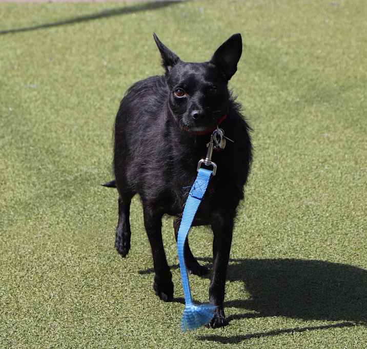 Photo of Cleo
