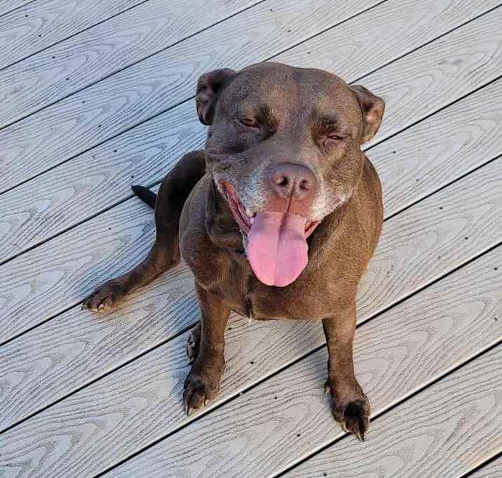 Photo of Belle