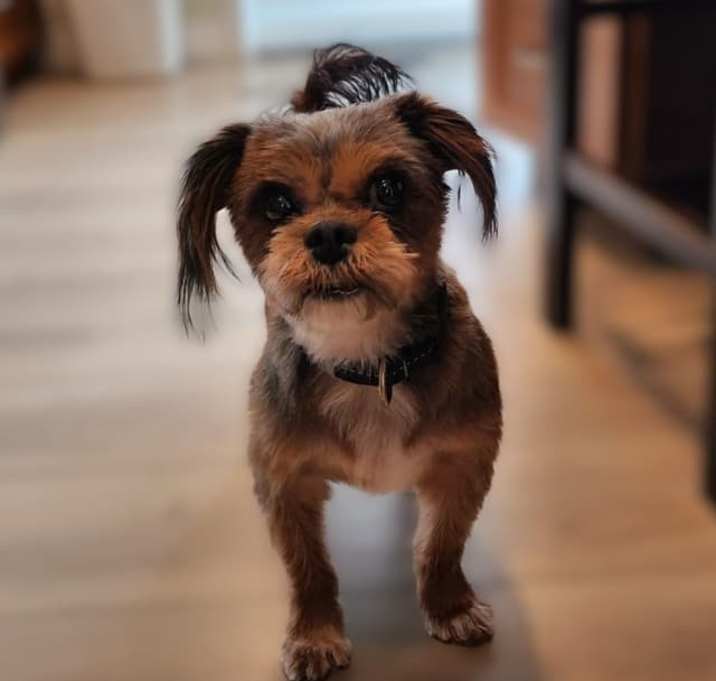 Photo of Hershey