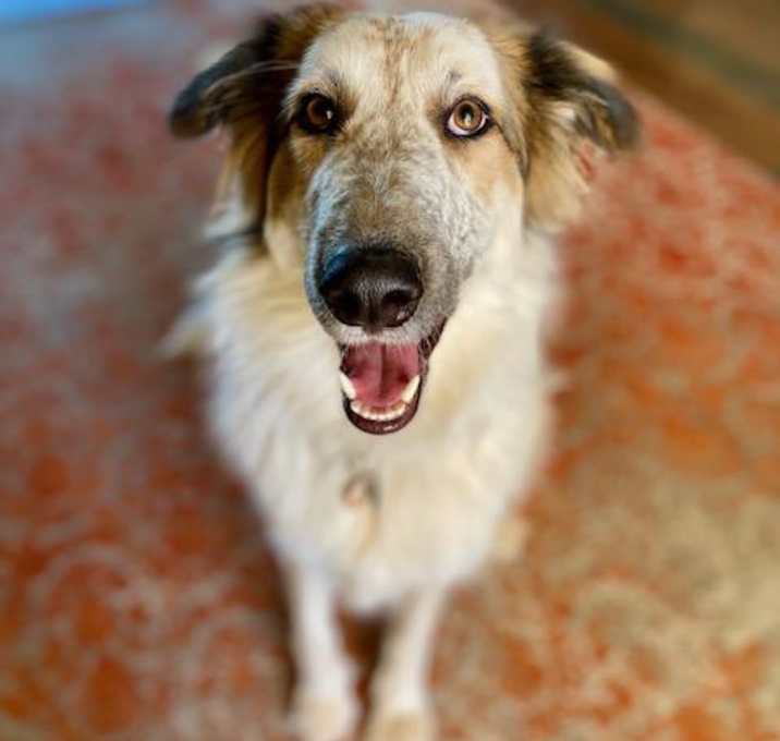 Photo of Bonnie