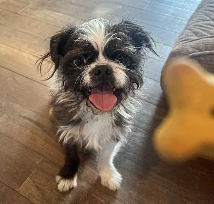 Photo of Bizzy