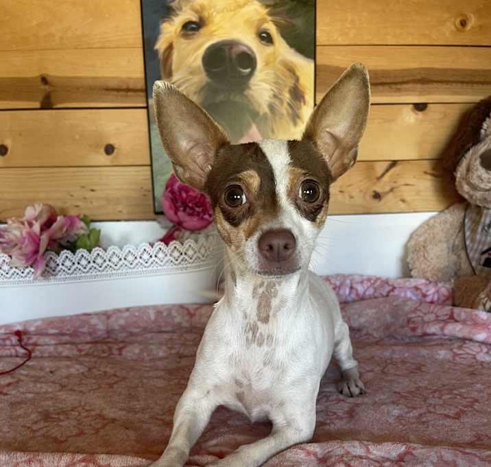 Photo of Mona