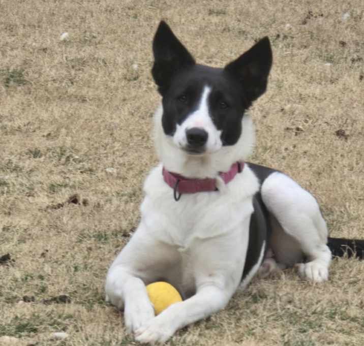 Photo of Moomoo