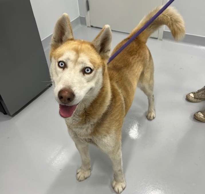Photo of Cane