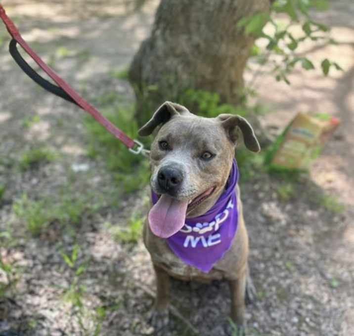 Photo of Duke