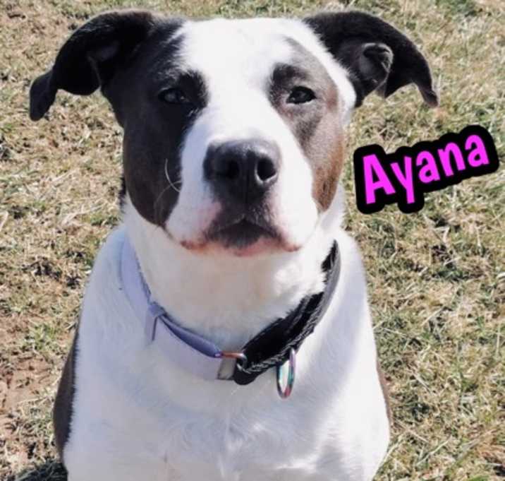 Photo of Ayana