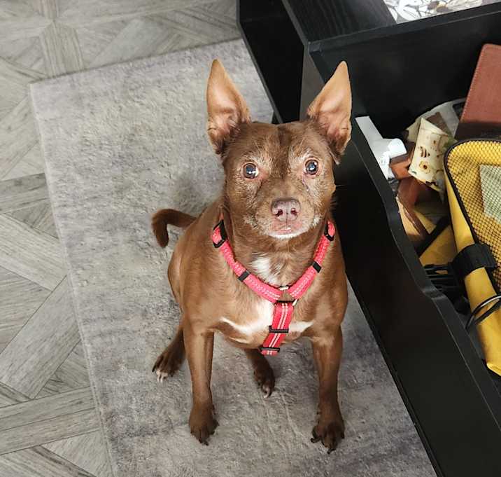 Photo of Eve