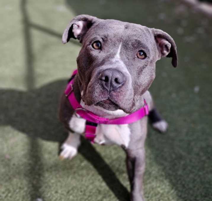 Photo of Jazz