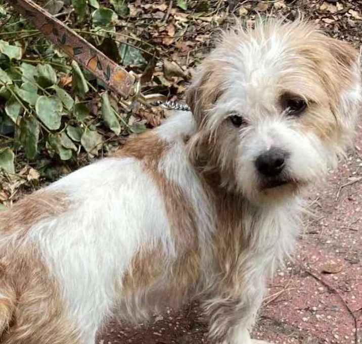 Photo of Fred
