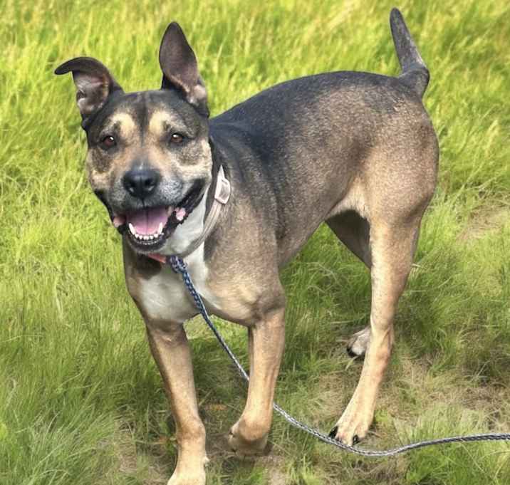 Photo of NOLA IS A PERFECT GIRL