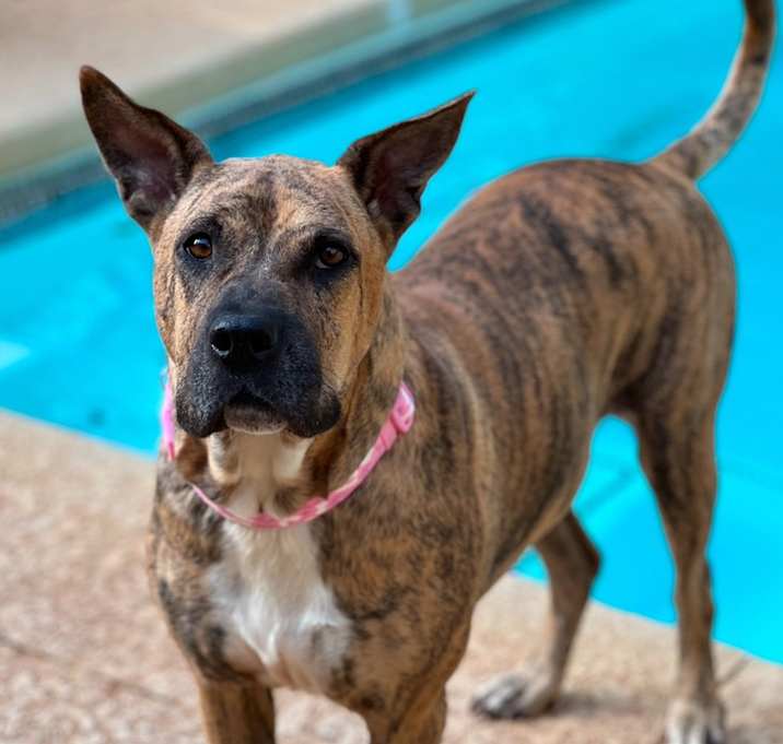 Photo of Winnie