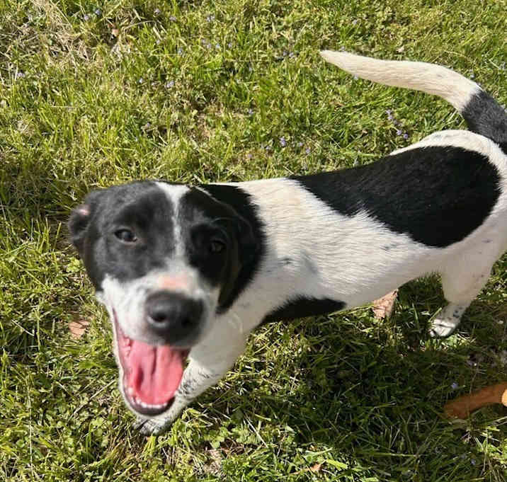 Photo of Marion Js : Jet