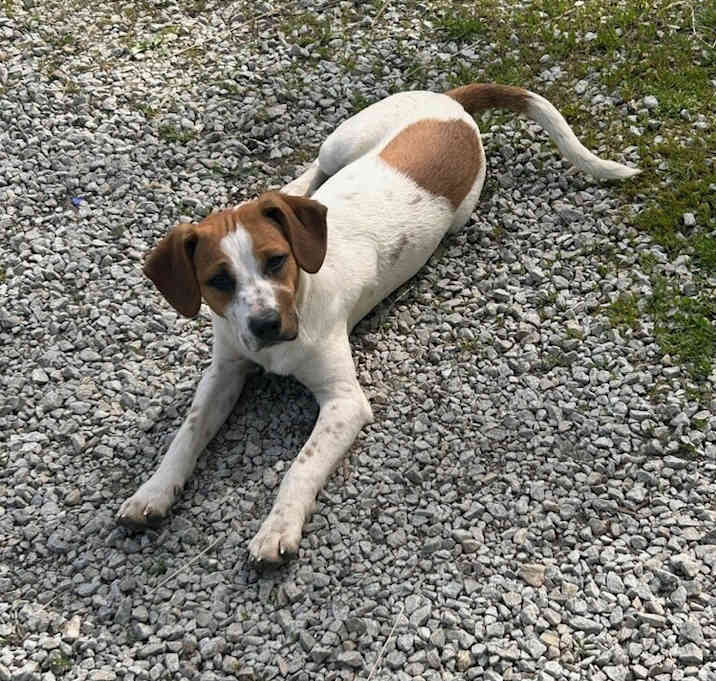 Photo of Marion Js : Jack