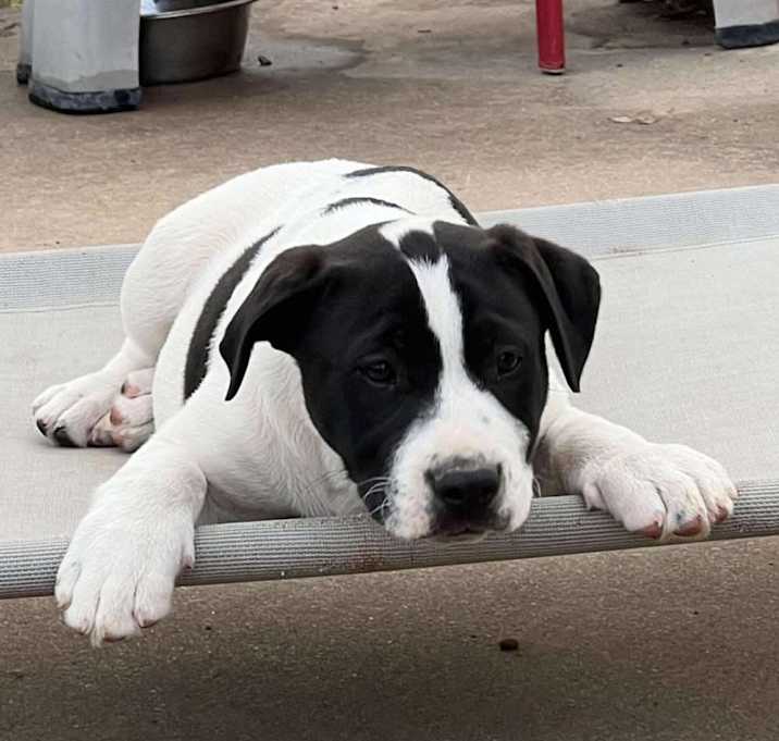Photo of Valor