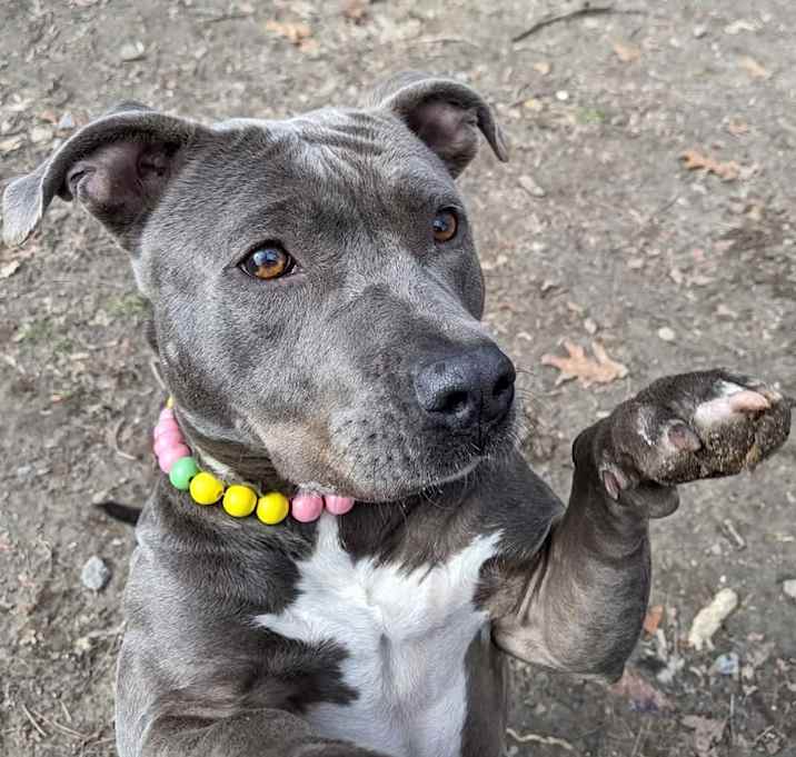 Photo of Trinket