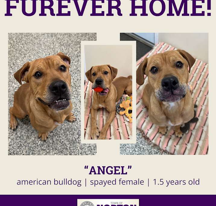 Photo of ANGEL