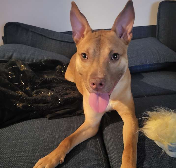 Photo of Darla