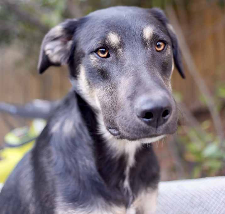 Photo of Ozy