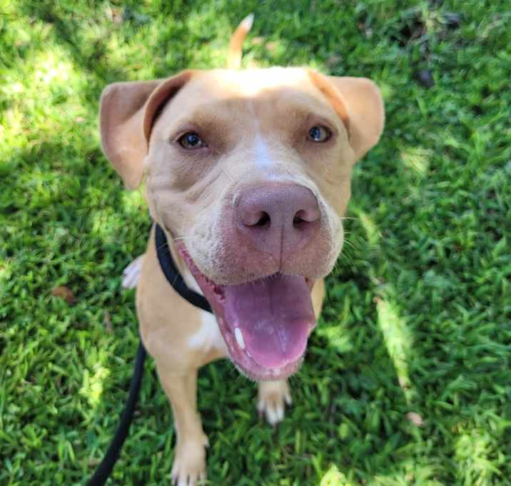 Photo of Penny