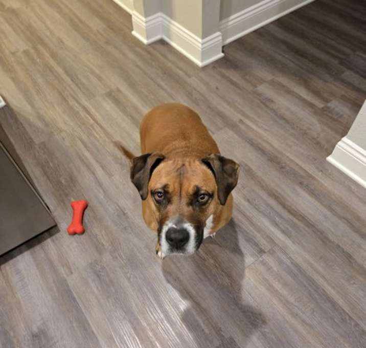 Photo of Lulu