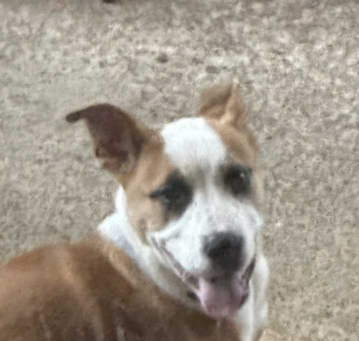 Photo of Mercy