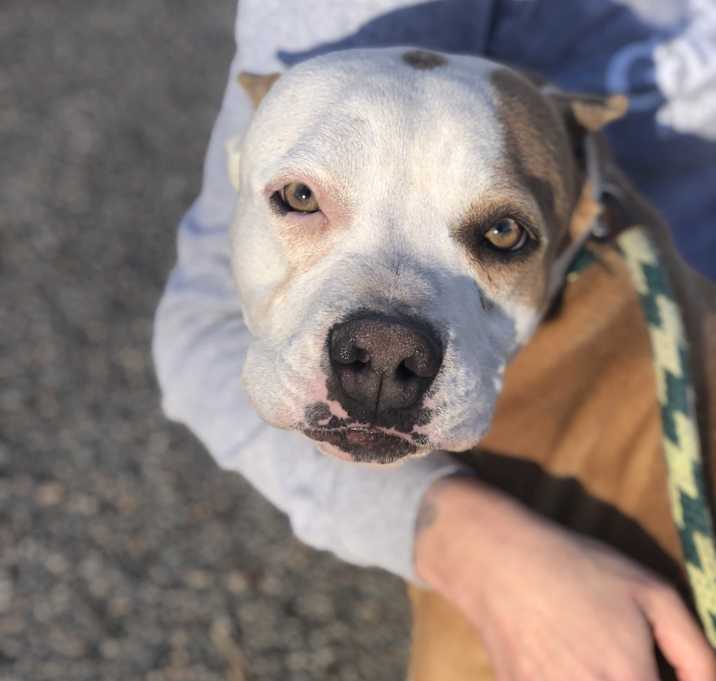 Photo of Macy