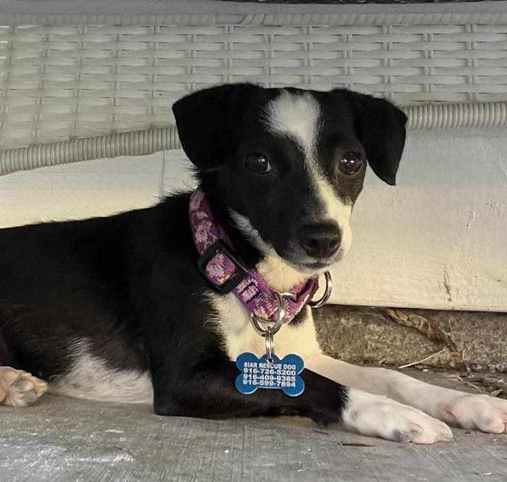 Photo of Lyric!