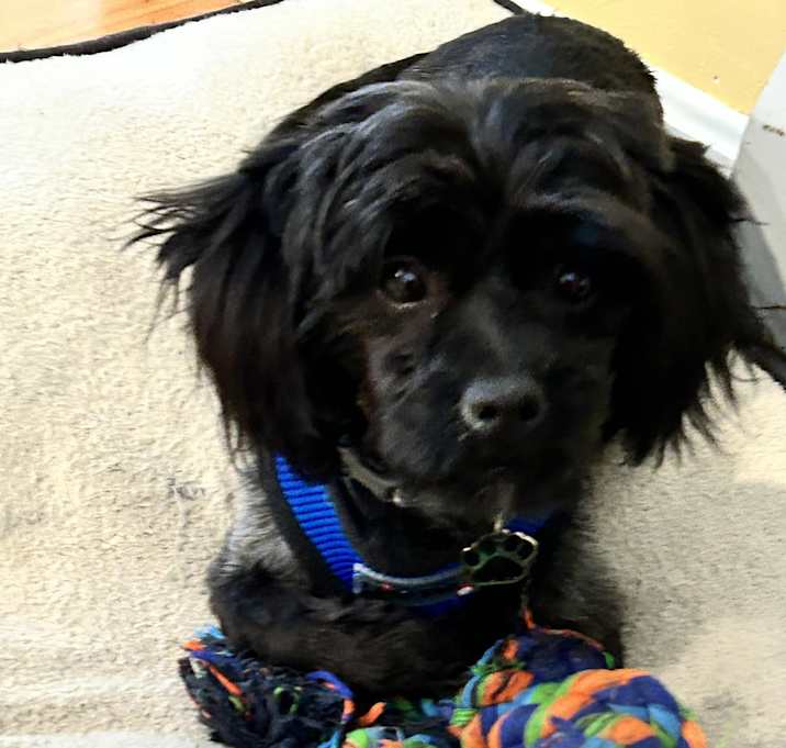 Photo of BOWIE in RHODE ISLAND