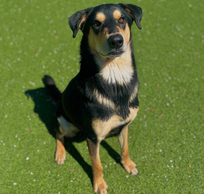 Photo of Clyde 6449