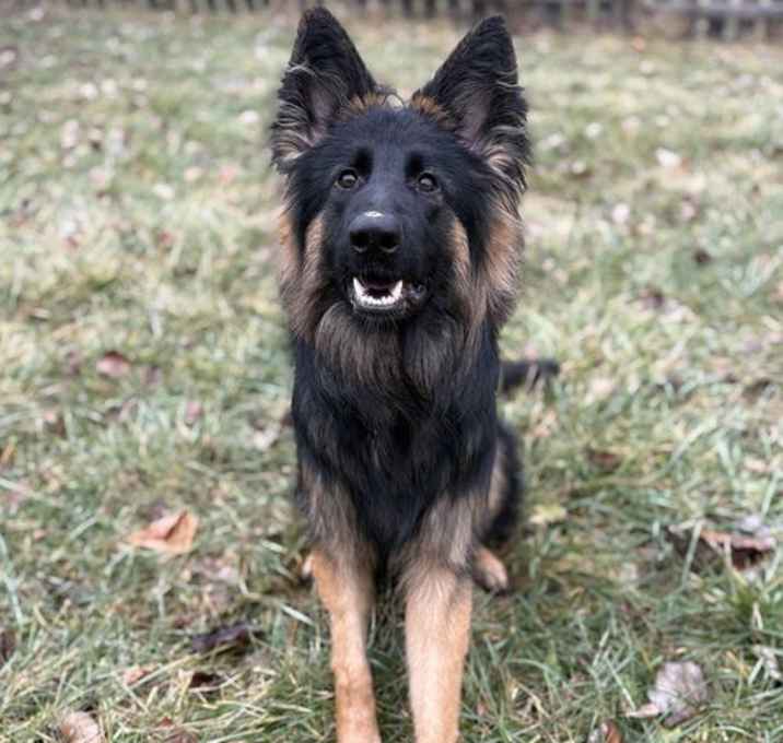 Photo of Mateo