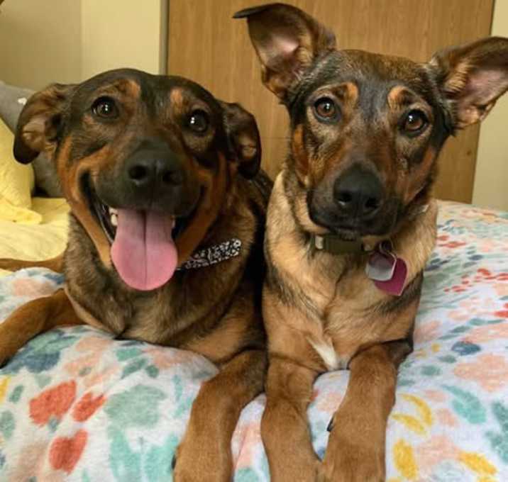 Photo of Rosie and lily