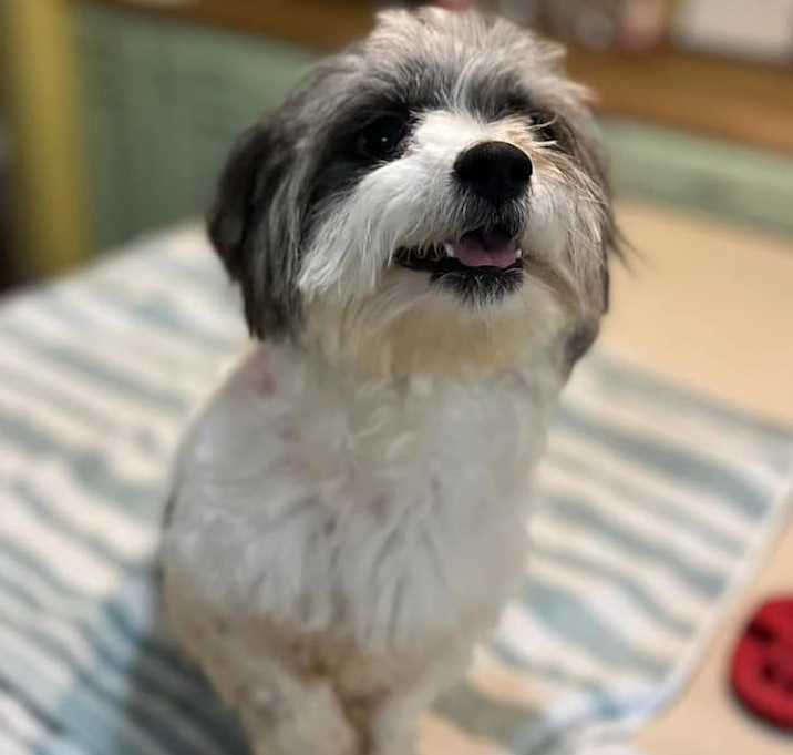Photo of Charlie