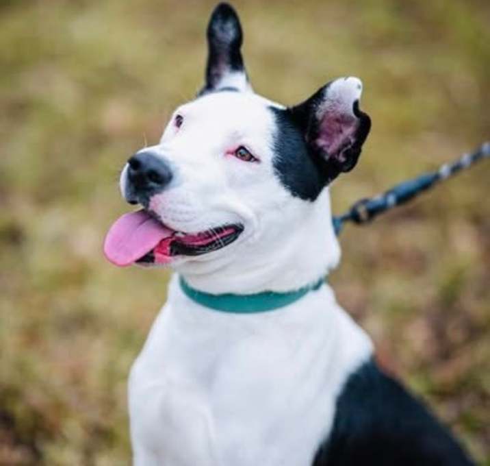 Photo of Shirley 