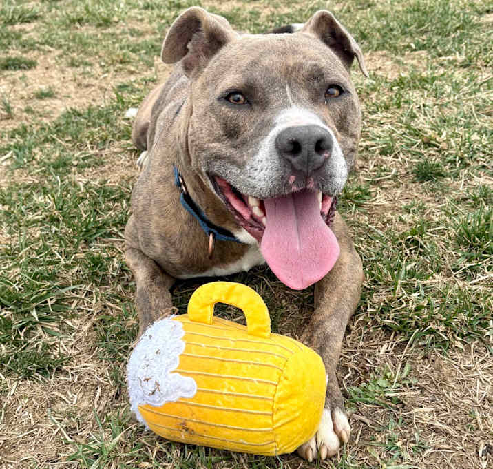 Photo of Leroy