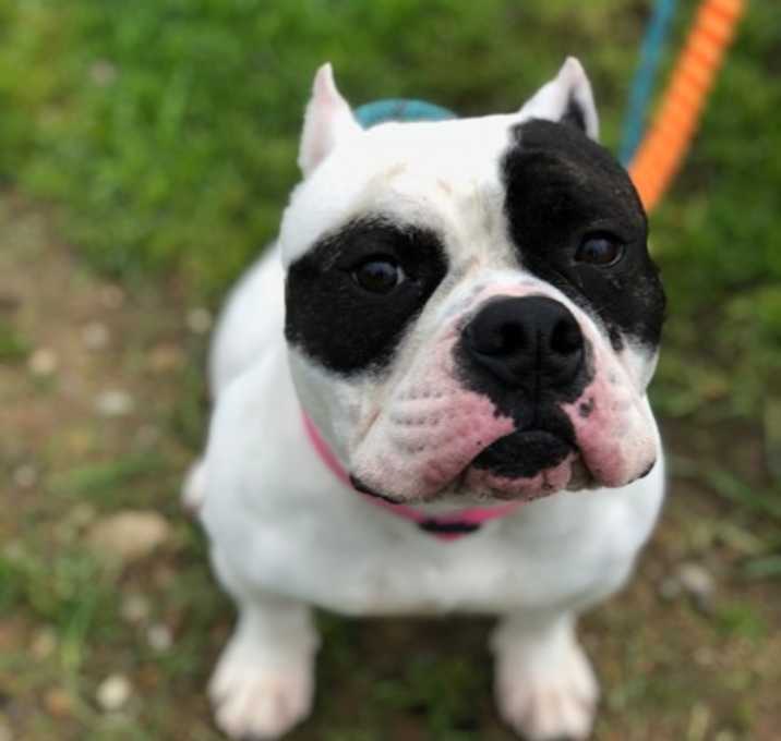 Photo of Wiley