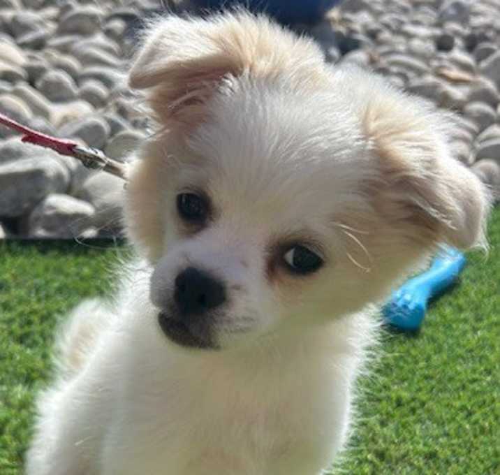 Photo of KELSEY
